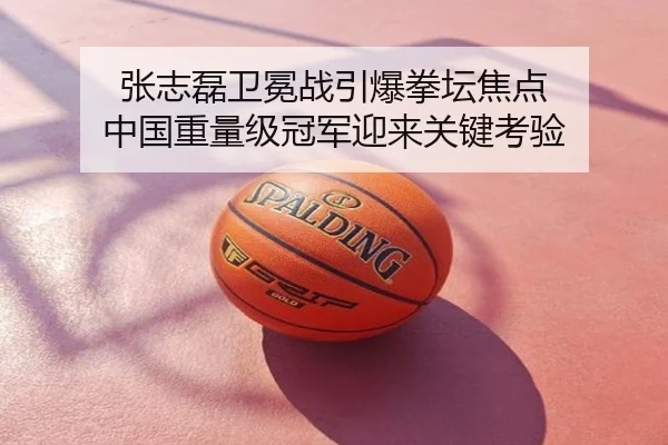 张志磊卫冕战引爆拳坛焦点 中国重量级冠军迎来关键考验